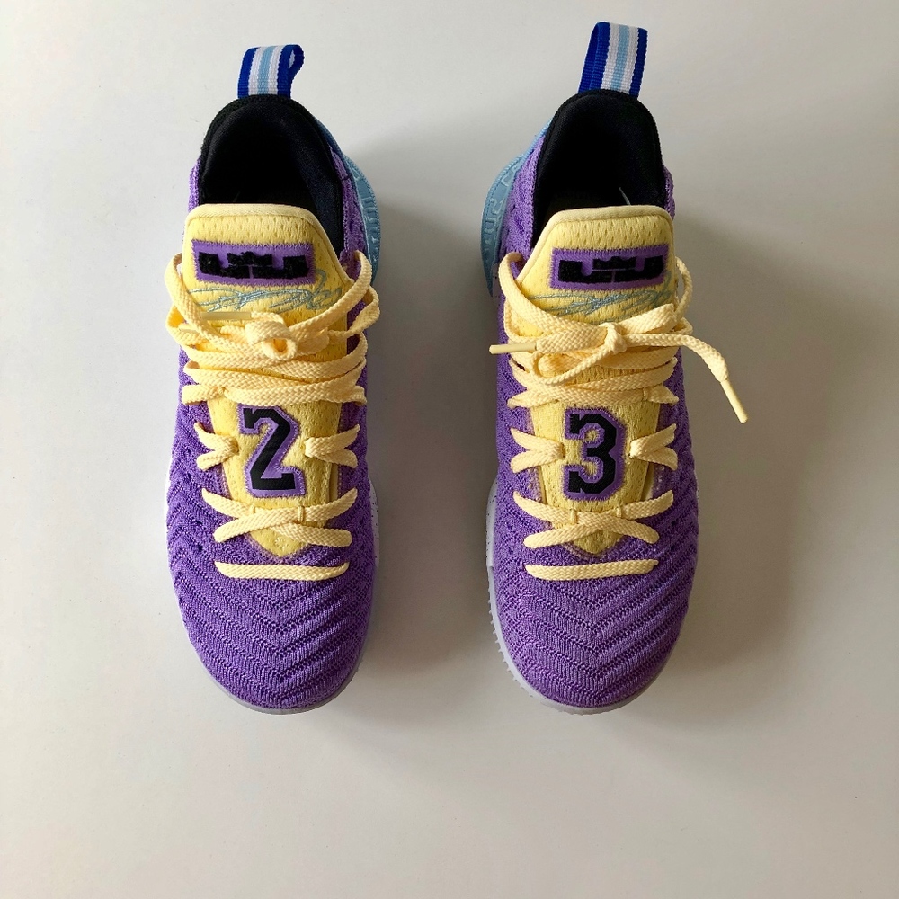 Lebron XVI Sneakers